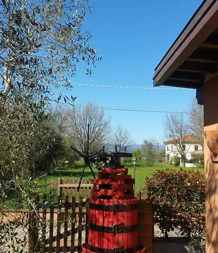 Ulivo Della Nyaraló