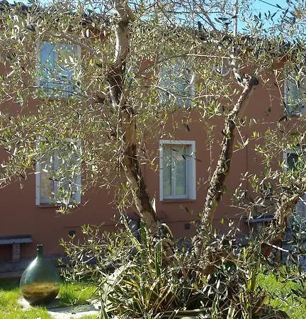 Ulivo Della Querce (Florence)