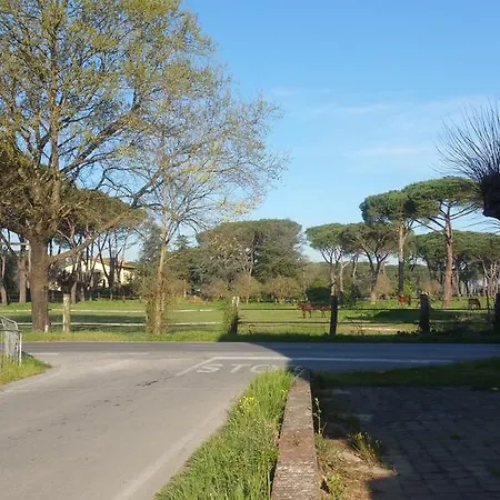 Ulivo Della * Querce (Florence)