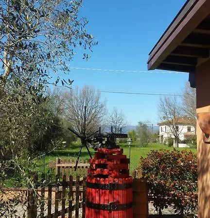 Ulivo Della Hébergement de vacances