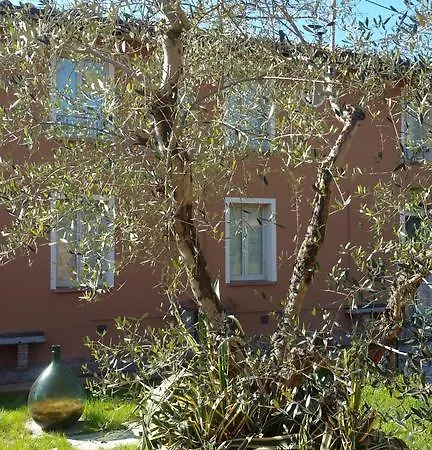 Ulivo Della Querce (Florence)